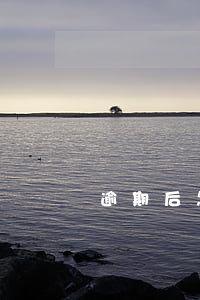 逾期后怎样和银行协商还款