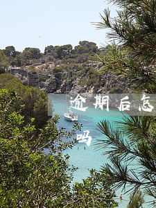 逾期后怎样才算不失联 逾期不接电话算失联吗
