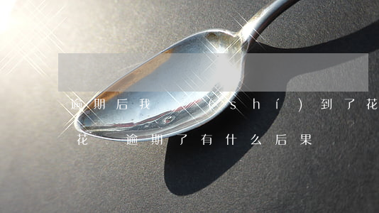 逾期后我見識(shí)到了花唄(支付寶的花唄逾期了有什么后果)