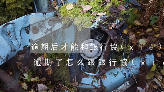 逾期后才能和銀行協(xié)商還款嗎-逾期了怎么跟銀行協(xié)商還款