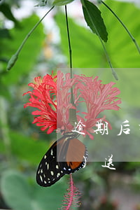 逾期后打電話核實(shí)地址發(fā)送傳票-