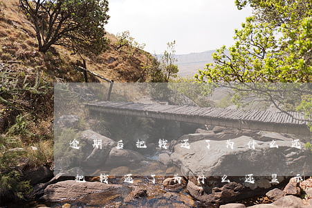 逾期后把钱还了为什么还显示欠款-逾期后把钱还了为什么还显示欠款呢