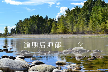 逾期后抑郁癥變化