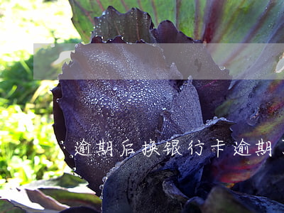 逾期后换银行卡(逾期了银行卡还能用吗)