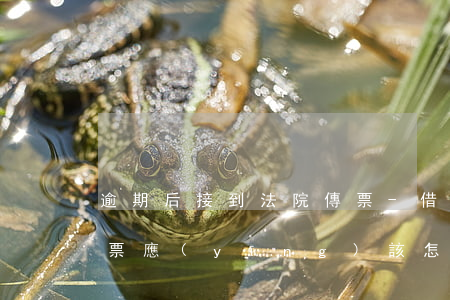 逾期后接到法院傳票-借款逾期收到法院傳票應(yīng)該怎樣處理