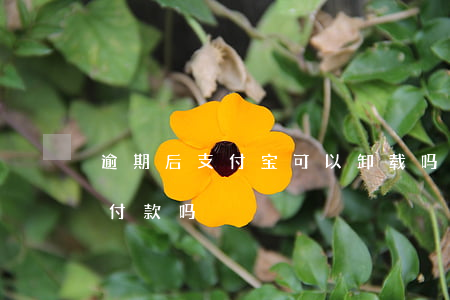 逾期后支付宝可以卸载吗(支付宝卸载了还能付款吗)