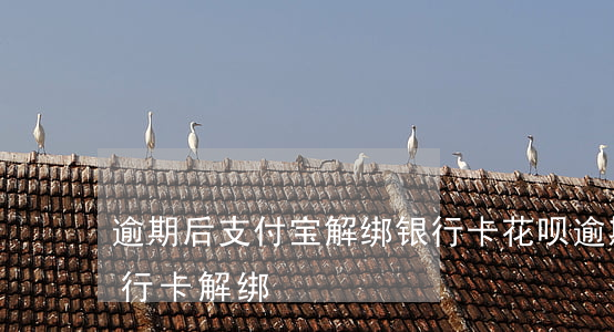 逾期后支付宝解绑银行卡 花呗逾期支付宝银行卡解绑