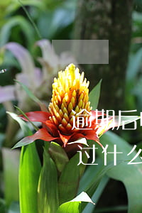 逾期后收到律师函有什么后果(逾期律师函通过什么方式发送的)