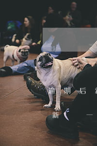 逾期后新辦一張銀行卡會被扣錢嗎-逾期后新辦一張銀行卡會被扣錢嗎怎么辦