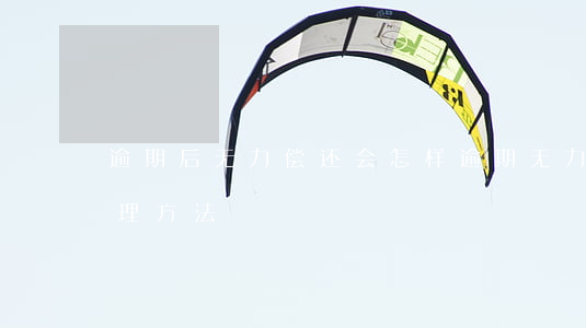 逾期后无力偿还会怎样(逾期无力还款最佳处理方法)