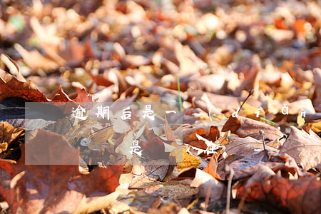逾期后是一點(diǎn)點(diǎn)還還是攢夠在還-