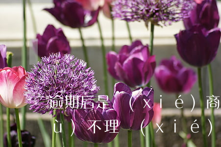 逾期后是協(xié)商還款還是繼續(xù)不理(協(xié)商還款有逾期的后果)