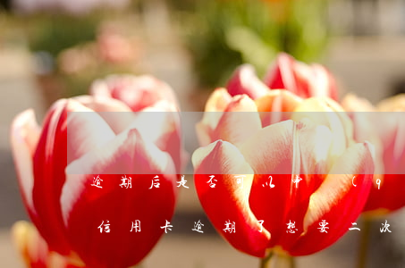 逾期后是否可以申請(qǐng)二次分期（信用卡逾期了想要二次分期）