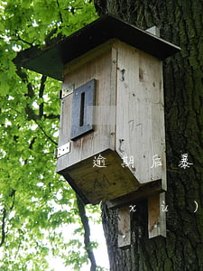 逾期后暴力催收什么時候開始 暴力催收持續(xù)多久