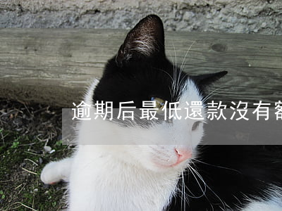 逾期后最低還款沒有額度(逾期之后最低還款)