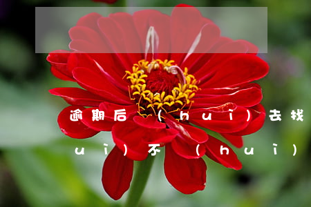 逾期后會(huì)去找家人嗎(逾期會(huì)不會(huì)找到家)