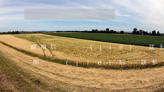 逾期后會凍結(jié)還款卡嗎(銀行卡逾期凍結(jié)后,還款多久能解凍?)