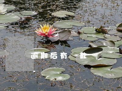 逾期后有還款記錄還會(huì)被起訴嗎-