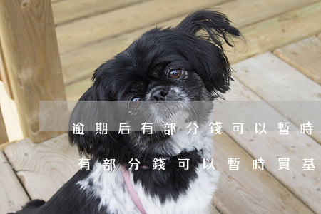 逾期后有部分錢可以暫時買基金嗎-逾期后有部分錢可以暫時買基金嗎安全嗎