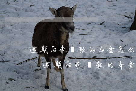 逾期后未還款的本金怎么計(jì)算利息-逾期后未還款的本金怎么計(jì)算利息呢