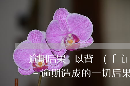逾期后果難以背負(fù)其出路只有一條-逾期造成的一切后果