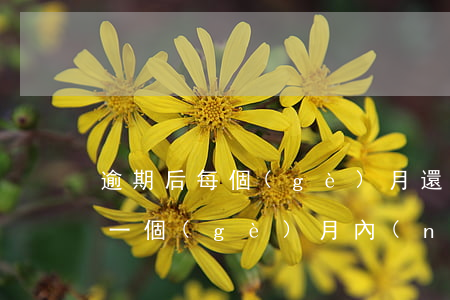 逾期后每個(gè)月還一部分-貸款逾期一個(gè)月內(nèi)還了