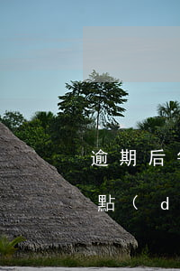 逾期后每個(gè)月還一點(diǎn)點(diǎn)（信用卡逾期后可以一點(diǎn)點(diǎn)的還嗎）