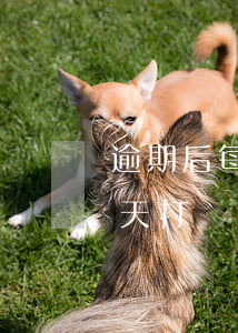 逾期后每天打電話給銀行可以嗎-逾期后每天打電話給銀行可以嗎是真的嗎