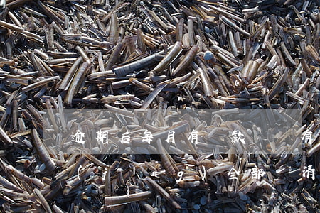 逾期后每月有還款記錄(有逾期記錄,但是已經(jīng)全部還清還能貸款嗎?)