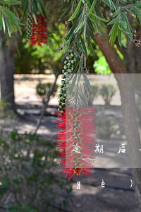 逾期后每月還一二百有用嗎-逾期后每個(gè)月還三兩千 有沒有用