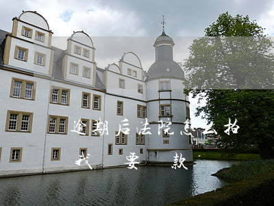 逾期后法院怎么拍賣車子-車子逾期拍賣了我還要還款嗎?