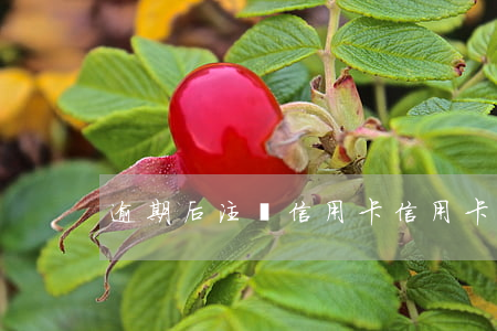 逾期后注銷信用卡（信用卡逾期一年還上銷戶）