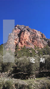 逾期后注銷信用卡（信用卡逾期可以撤銷么）