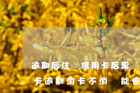 逾期后注銷信用卡后果嚴(yán)重（信用卡逾期消卡不消戶能恢復(fù)嗎）