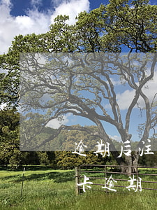逾期后注銷信用卡后果嚴(yán)重（信用卡逾期還清后就可以注銷了嗎）