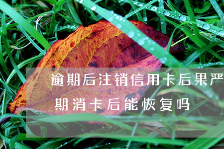 逾期后注销信用卡后果严重（建行信用卡因逾期消卡后能恢复吗）