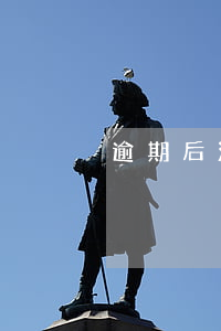 逾期后滯納金20 期（逾期后滯納金20 期）