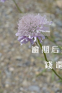 逾期后無力償還一開始就不接電話-逾期后沒錢還電話不接