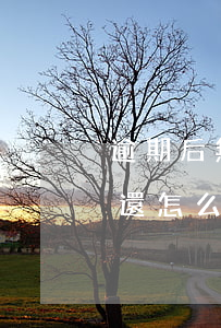 逾期后無力償還人家要起訴(欠款逾期無力償還怎么辦)