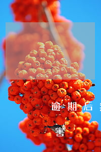 逾期后無力償還的危害 逾期后無力償還的危害