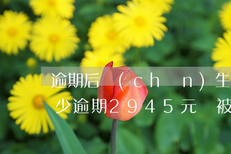 逾期后產(chǎn)生的逾期費用最多多少（逾期2945元會被告上法庭嗎）