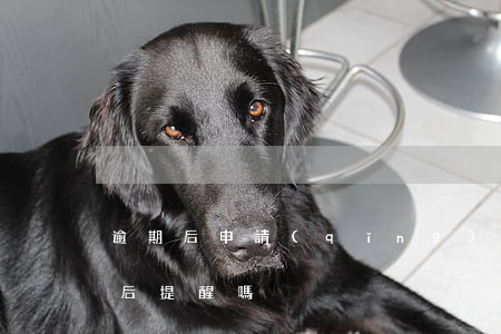逾期后申請(qǐng)信用卡（信用卡逾期后提醒嗎）