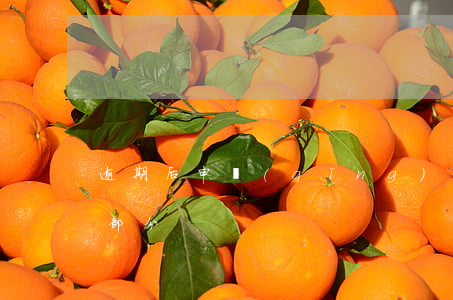 逾期后申請(qǐng)停息還款未還逾期部分
