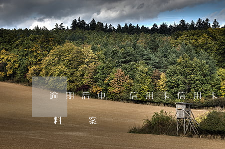 逾期后申請信用卡（信用卡逾期銀行已提交材料報案）
