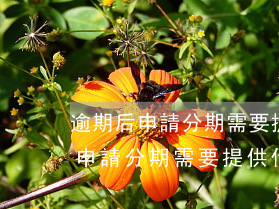 逾期后申請分期需要提供什么證明-逾期后申請分期需要提供什么證明材料