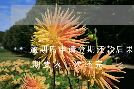 逾期后申请分期还款后果严重（信用卡逾期分期要求一次还完）