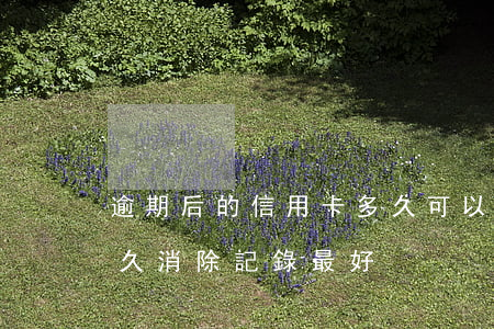 逾期后的信用卡,多久可以注銷（信用卡逾期多久消除記錄最好）