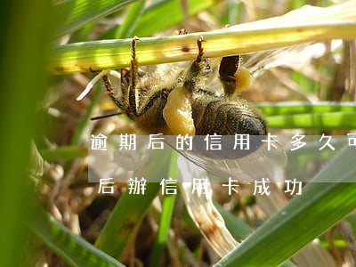 逾期后的信用卡,多久可以注銷（逾期銷卡幾年后辦信用卡成功）
