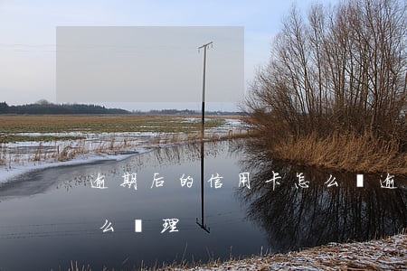 逾期后的信用卡怎么還 逾期還清的信用卡怎么處理