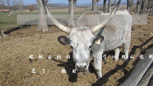 逾期后的信用卡還可以用么(逾期的信用卡還完了還能用嗎)